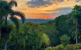 Daintree Manor B&B